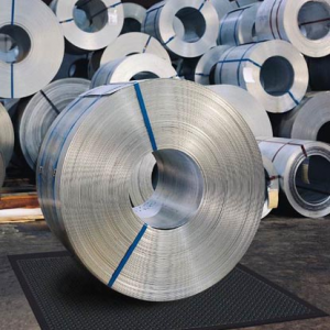 Cân Điện Tử Mettler Toledo LIFTMATE Floor Scale